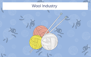 Boosting Wool Industry in Rajasthan