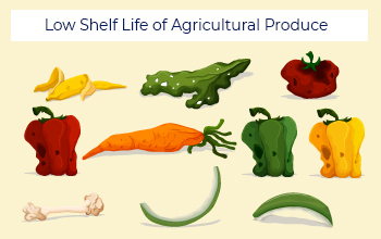Low Shelf Life of Agricultural Produce